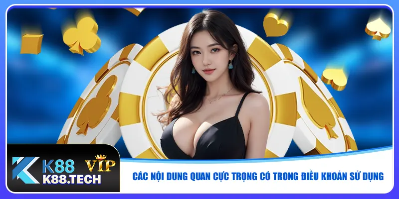 Các nội dung quan cực trọng có trong điều khoản sử dụng