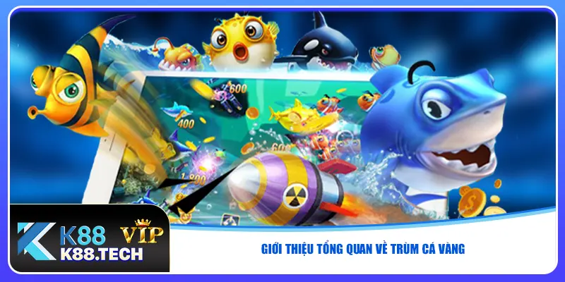 Giới thiệu tổng quan về trùm cá vàng